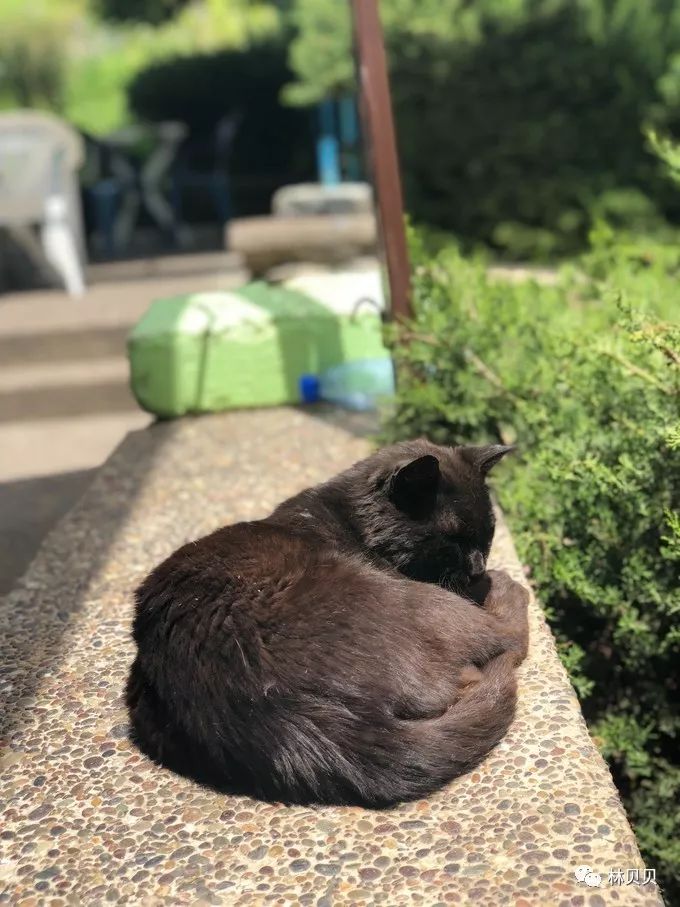 摩洛哥10天,摩洛哥12天瘦5斤减肥成功案例