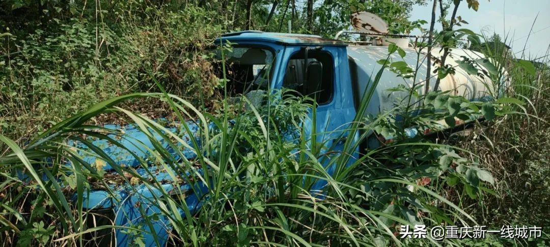 荒野求生之神秘洞穴,荒野求生神秘洞穴