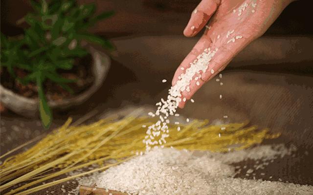 醴陵市满朝佰家粥铺醴泉路店,满朝佰家粥铺怎么样