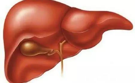 乙肝人群到最后一定是肝癌吗,乙肝病毒携带者最后都是肝癌吗