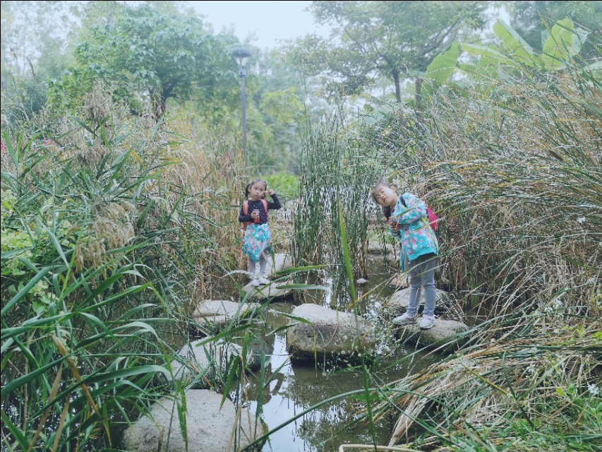 厦门园博苑带娃游玩攻略,厦门遛娃公园
