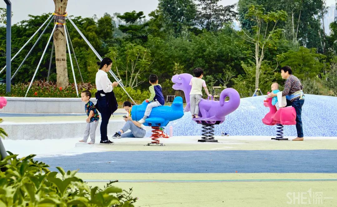 深圳龙华公园推荐,深圳龙华免费公园