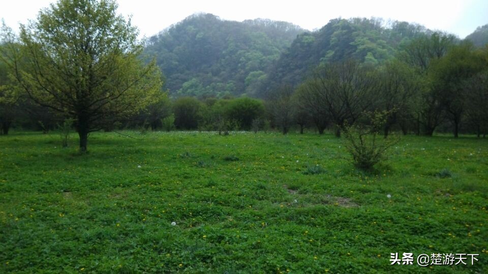 神农架大九湖旅游攻略,醉美大九湖探秘神农架