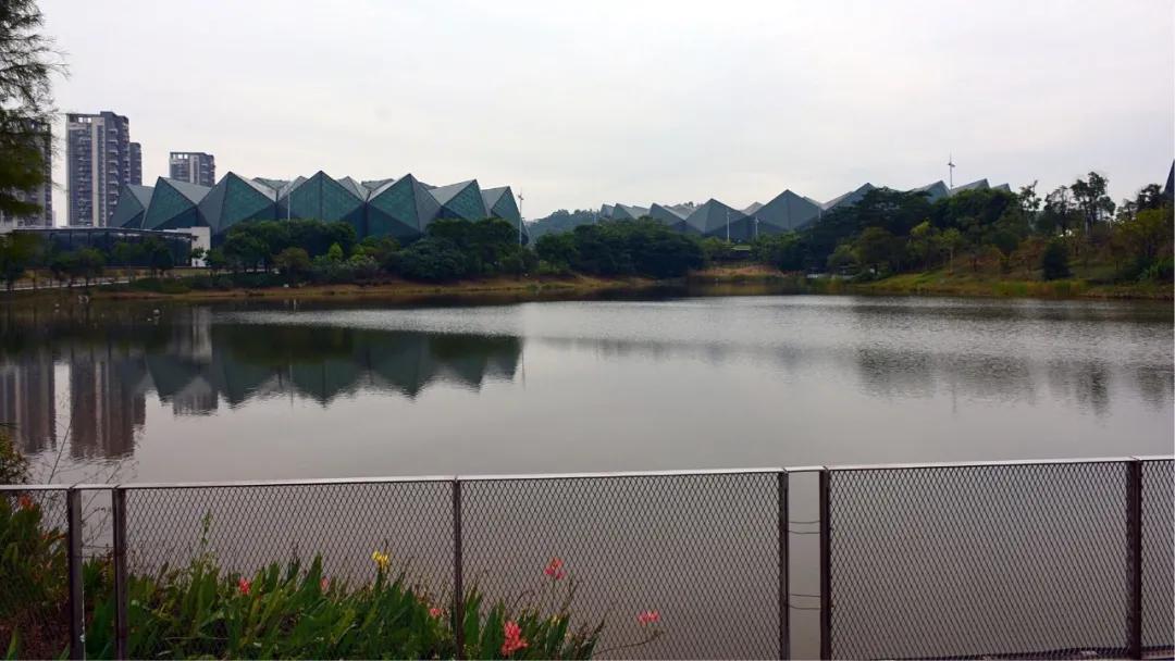 大运绿道跑步路线,大运公园绿道