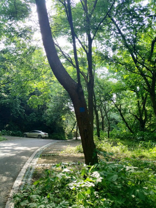 杭州西湖茶山游玩攻略,杭州西湖边游玩