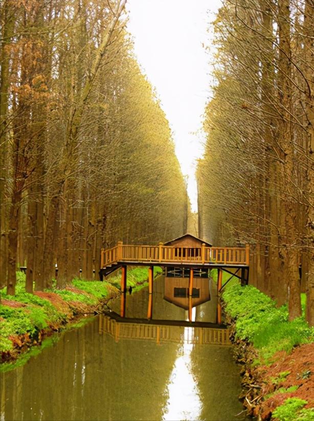 江苏省泰州市区域划分图,江苏泰州市属于华南还是华东