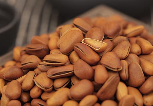 开口松子,东北开口松子