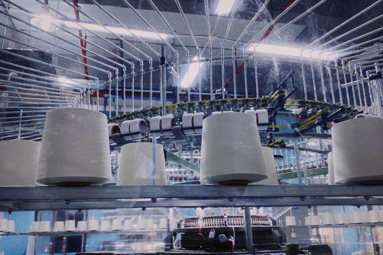 一口吃掉蓝鳍金枪鱼中腹,一口吃掉了亚马逊河所有鱼