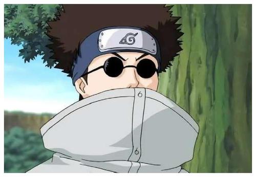 火影忍者中最浪费的设定——木叶十二忍