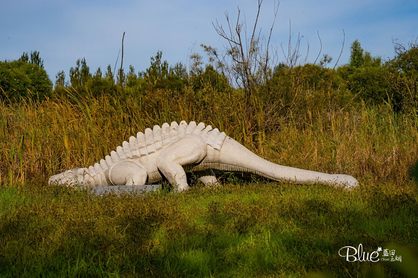 从漠河自驾到抚远镇,漠河至丹东自驾g331攻略