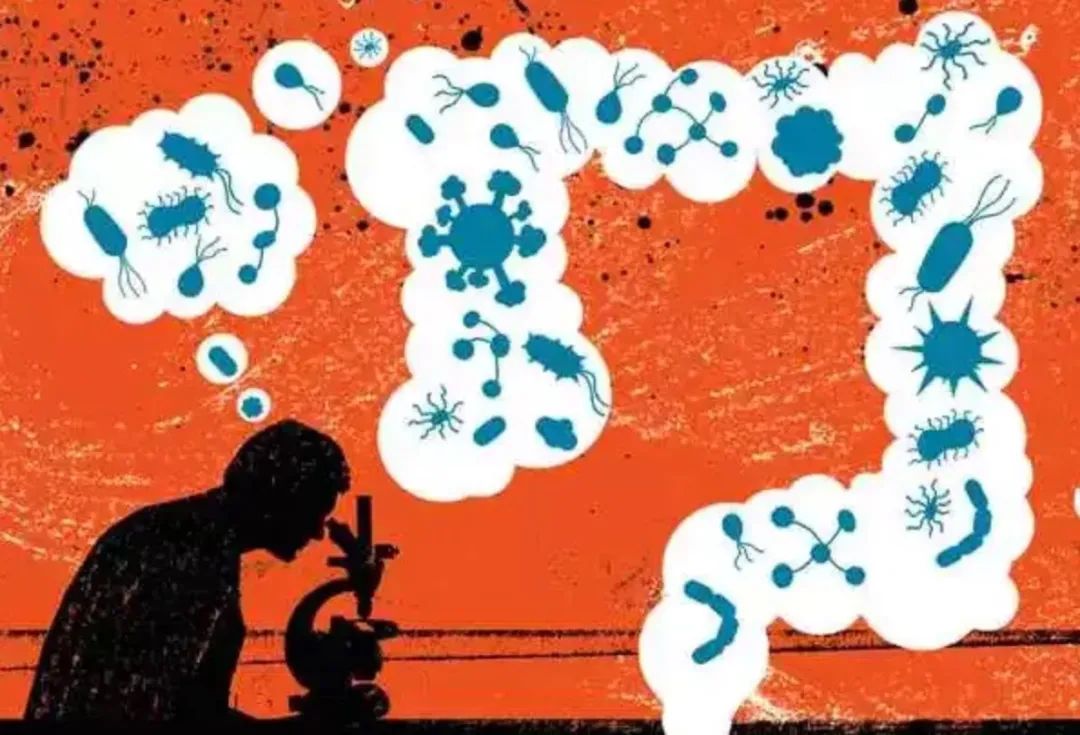 乳双歧杆菌和双歧杆菌有什么区别,双歧杆菌和乳果糖哪个效果好