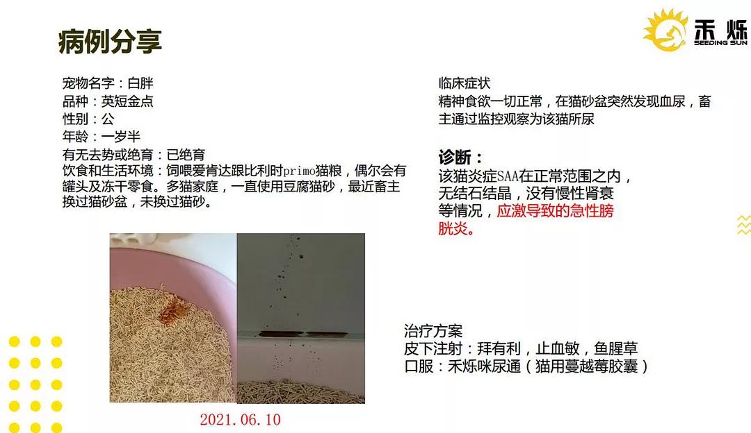 猫咪泌尿感染有哪些症状,矿砂对猫咪泌尿有影响吗