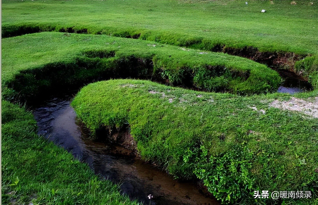 世界上最窄的河流多少公里,世界上最宽的河鱼