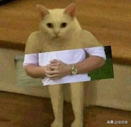 抵押贷款最后一步流程,房屋抵押最快捷的贷款