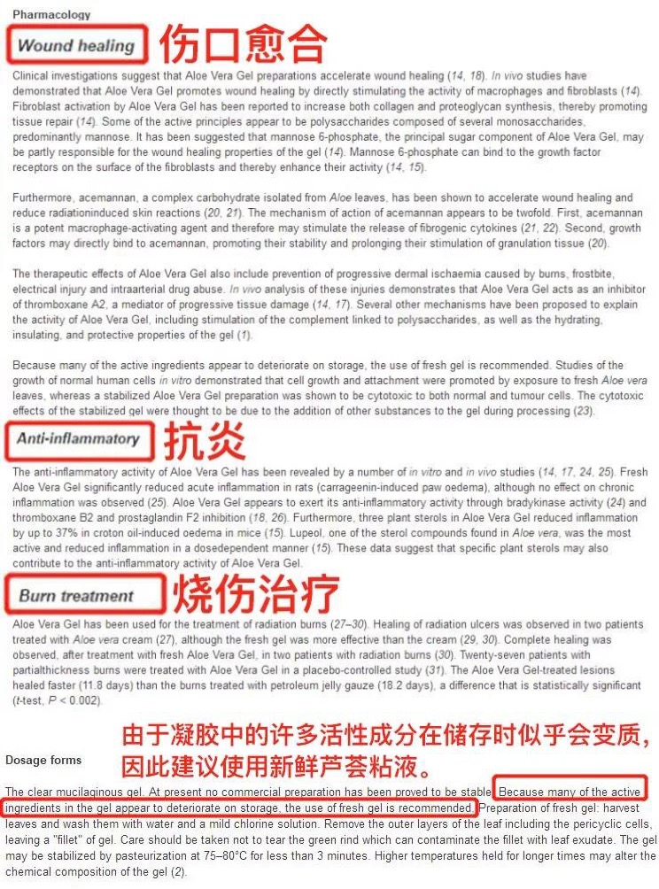 祛痘芦荟胶管用吗,芦荟胶可以祛痘吗测评