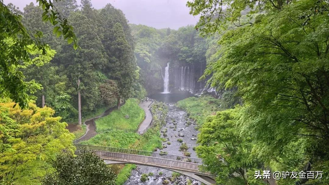日本签证5月重大便利，“网申”在即！这个好吃好玩好买的地儿
