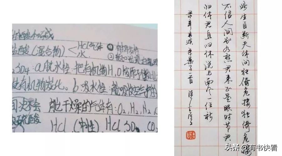 45岁徐静蕾简介,46岁徐静蕾水彩书法