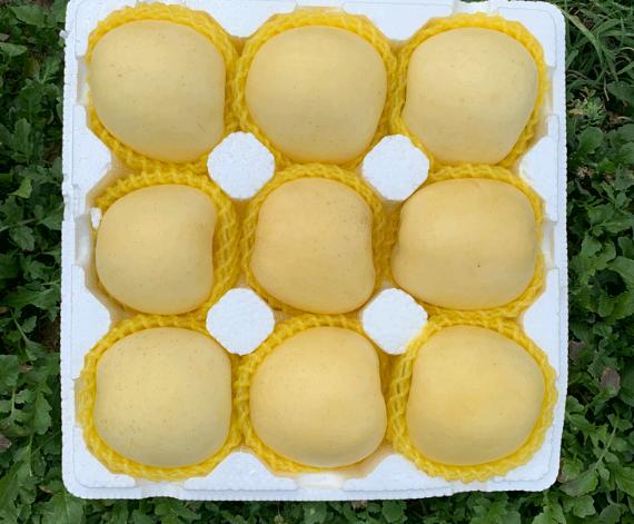 山东奶白桃,山东奶白脆苹果