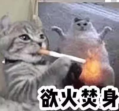 日系化妆教程石原里美,日本化妆师给徐老师化成石原里美