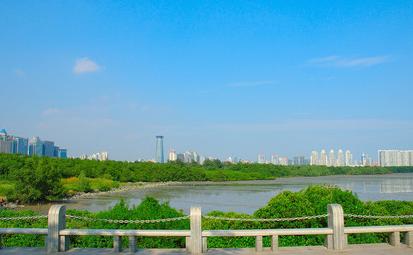 深圳自驾八大必去免费景点,深圳一日游必去十大网红景点