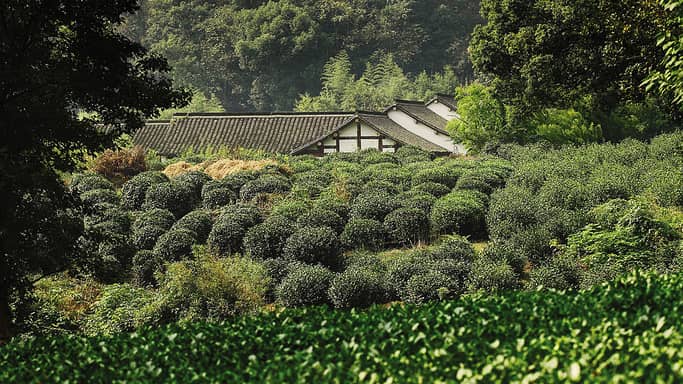 中国十大酒店杭州,杭州奥克斯皇冠假日酒店