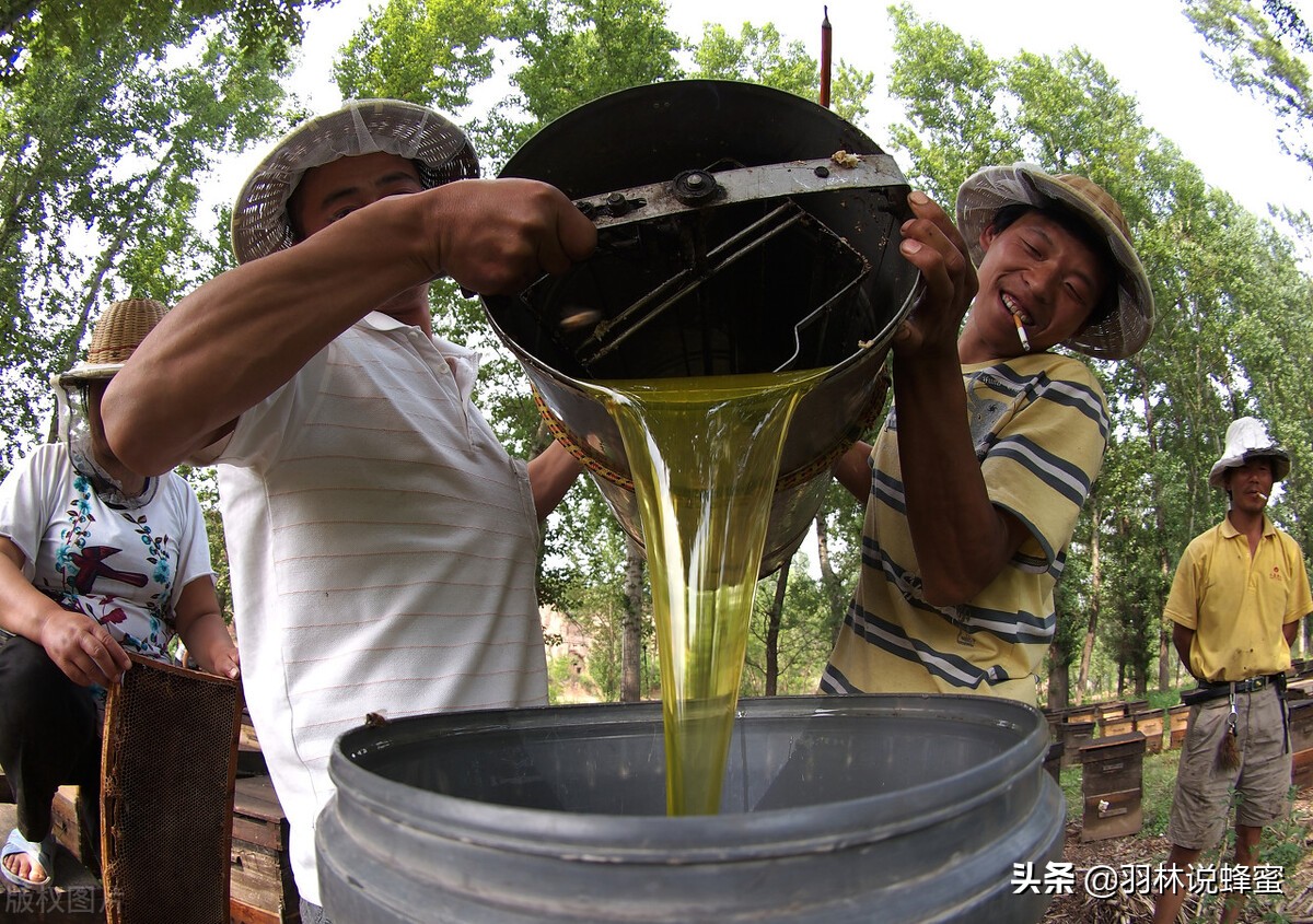 蜂箱里面的蜂蜜是怎么取出来的,蜂蜜是什么方法引进蜂箱的