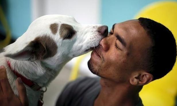 狗狗主动靠近还会舔是什么征兆,狗狗半夜舔各种东西是什么原因