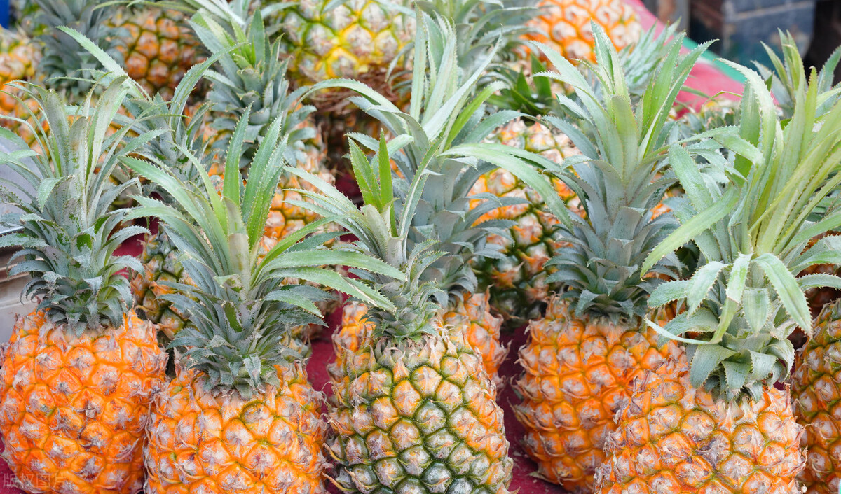 菠萝为什么要用盐水泡一下才好吃,菠萝直接用盐水泡多久好吃