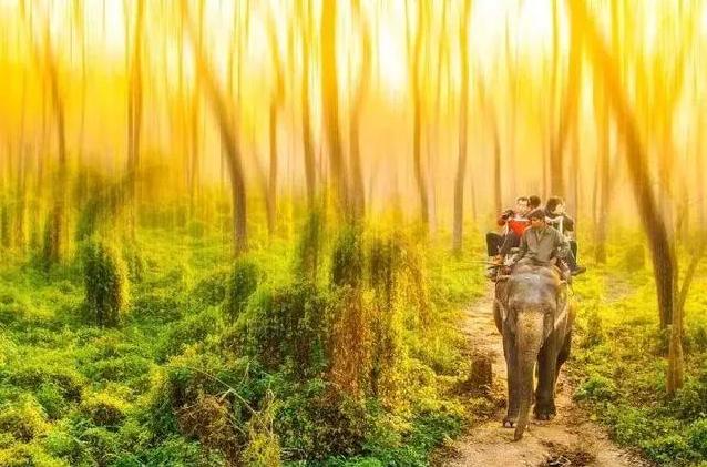 尼泊尔钻石,800元尼泊尔钻石