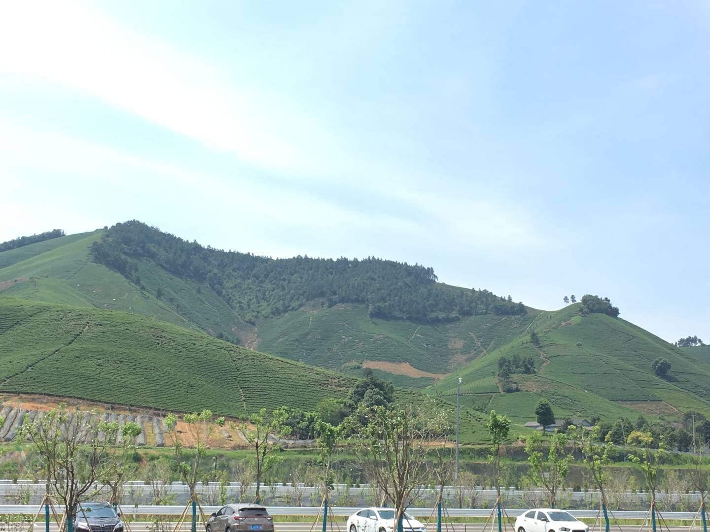 浙江安吉龙王山自驾两日游,安吉龙王山景区攻略一日游路线