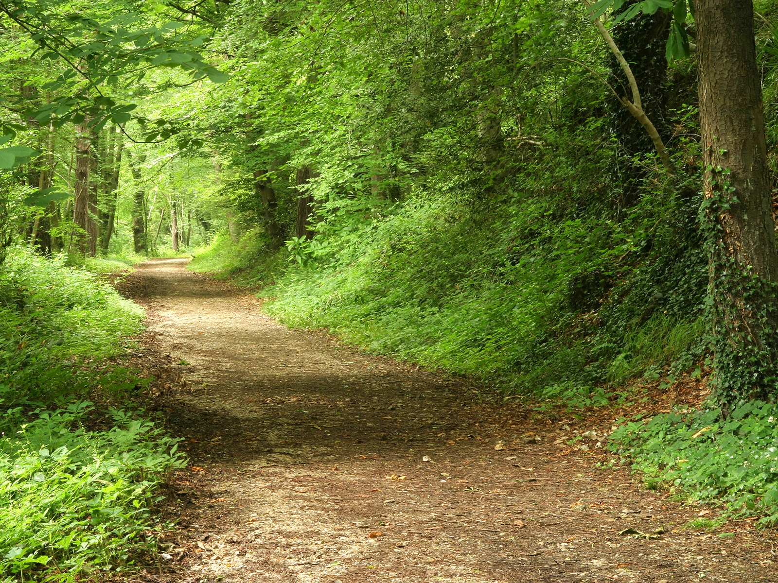 日本的福利那么高为何低生育率,日本的福利真的好吗