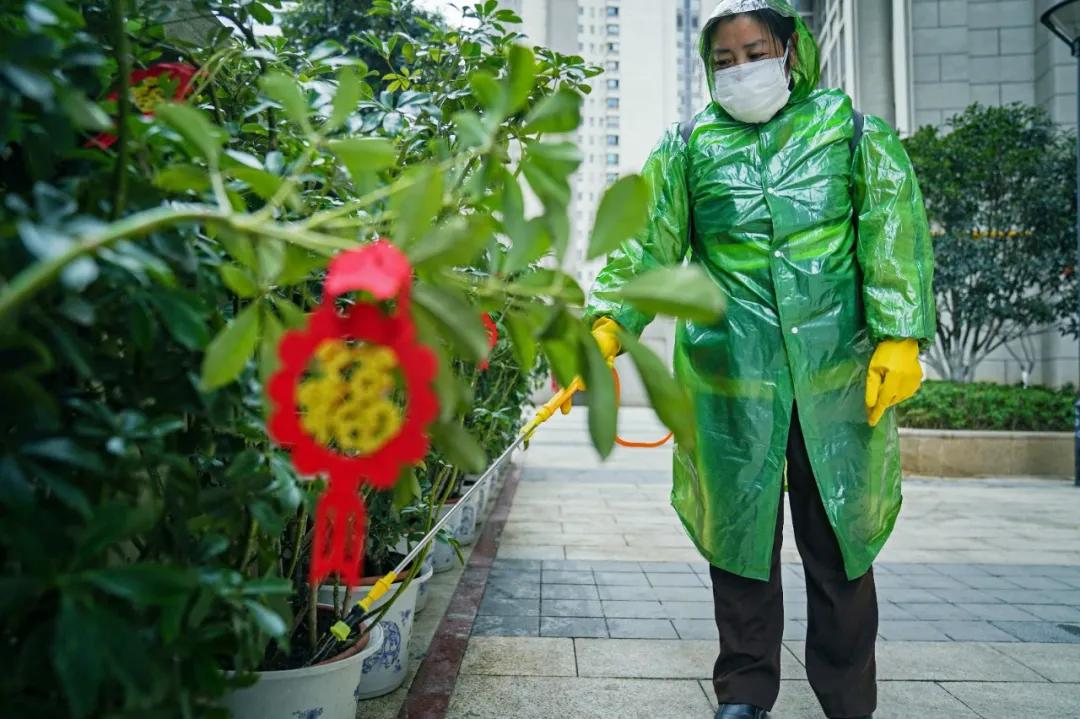 贵阳花果园疫情防控通告,贵阳市花果园疫情期间管理办法