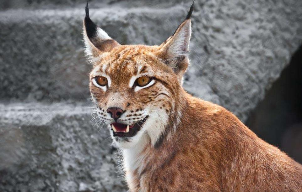 甘肃的地理与气候,甘肃自然环境