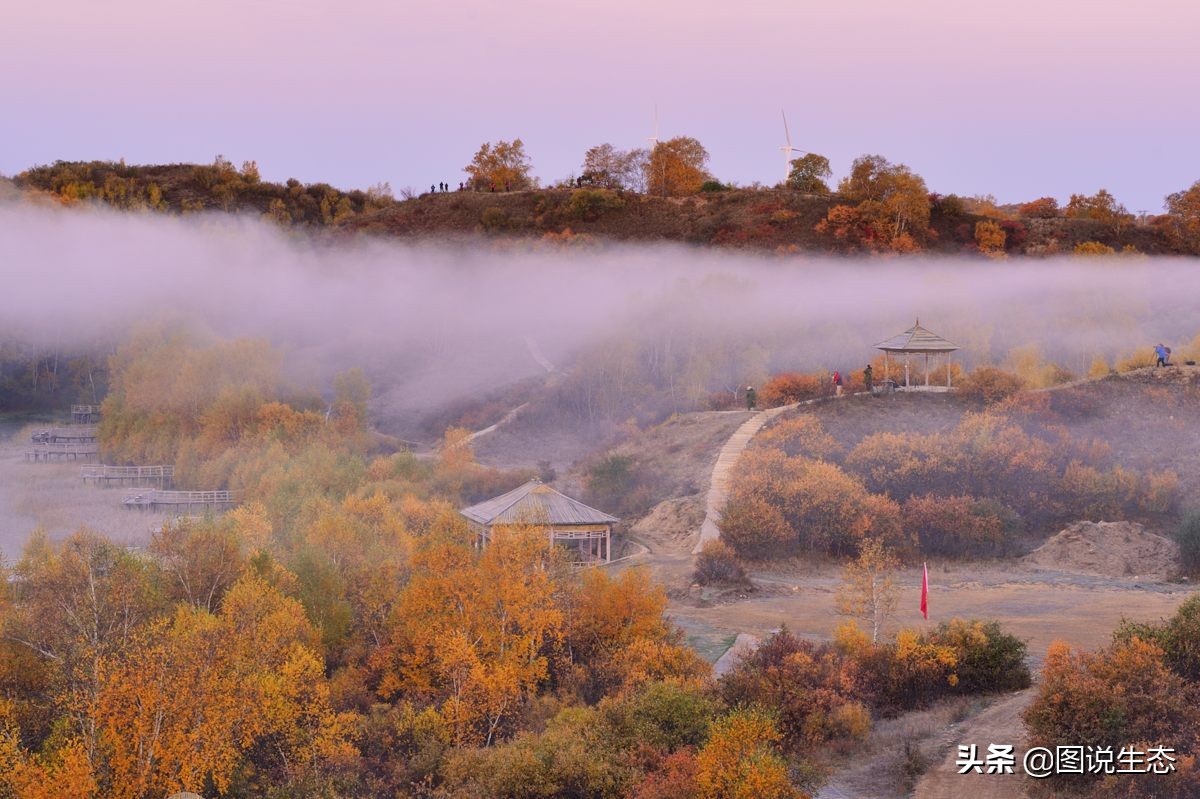 一口气看完塞罕坝全篇,参观塞罕坝有感1000字