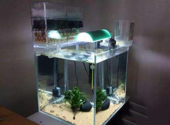 鱼缸更换过滤系统注意事项,鱼缸过滤什么方法最好呢