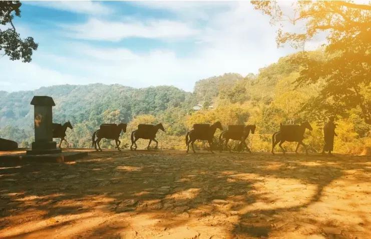 2002易武普洱茶,2002年春茶易武御饼