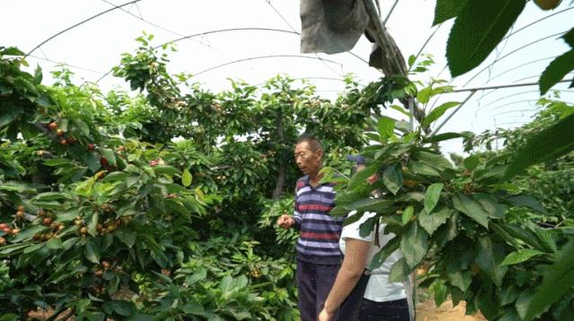 大连特产有哪些最便宜,大连的特产都有哪些