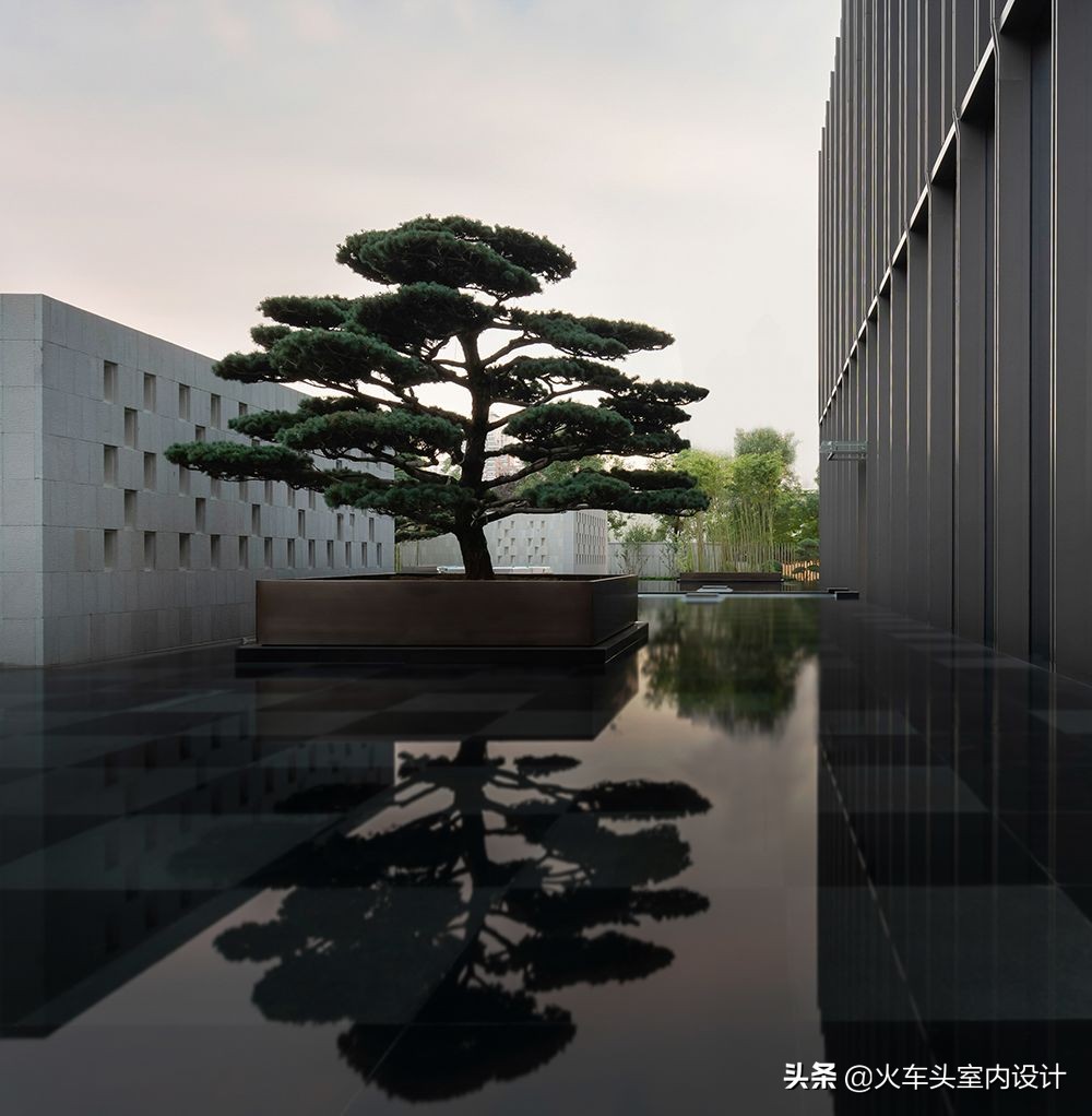 ccd中的华贵,ccd最新力作