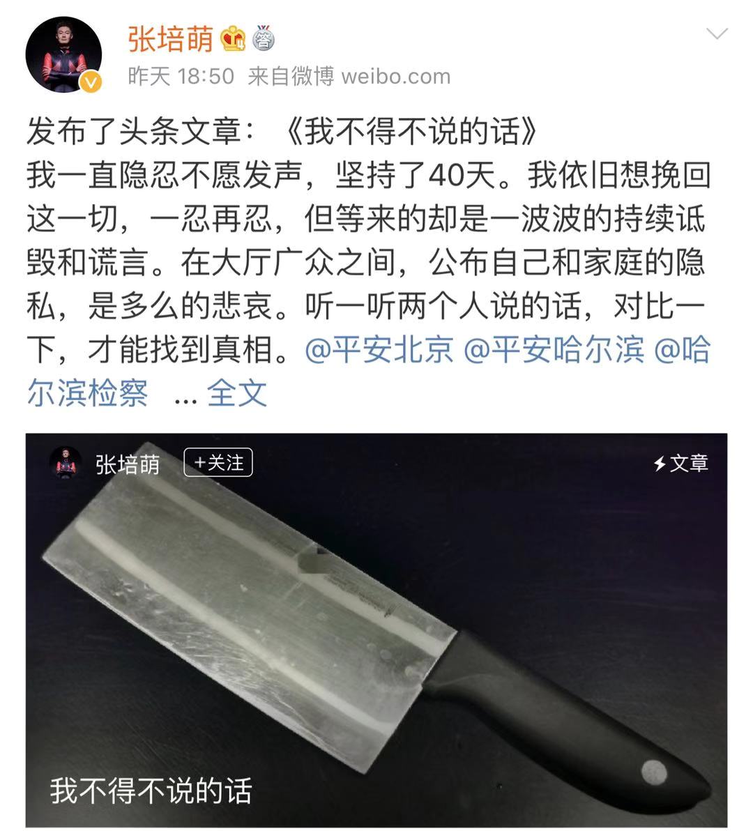 田径飞人苏炳添近况,苏炳添与妻子吵架