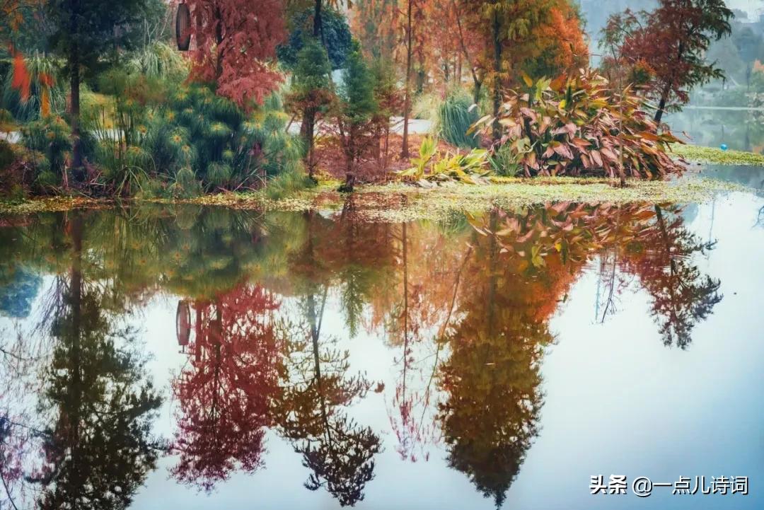 十大经典诗词开头和结尾大全,适合摘抄的神仙惊艳句子开头结尾