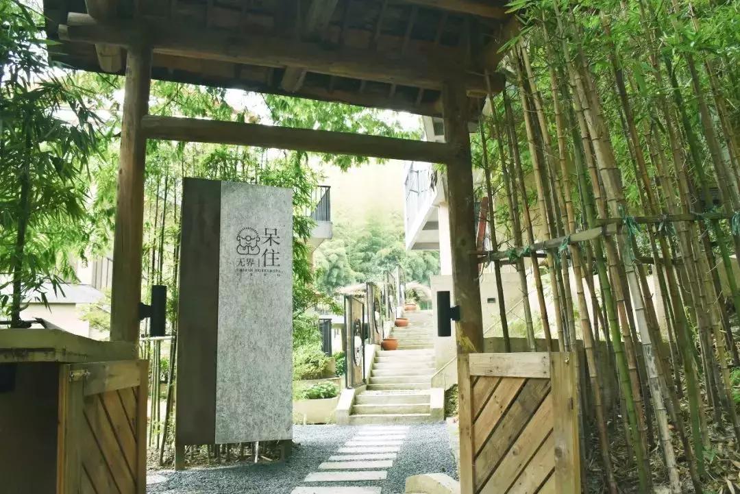 自驾莫干山探寻网红民宿的新格调,莫干山民宿三天两晚推荐