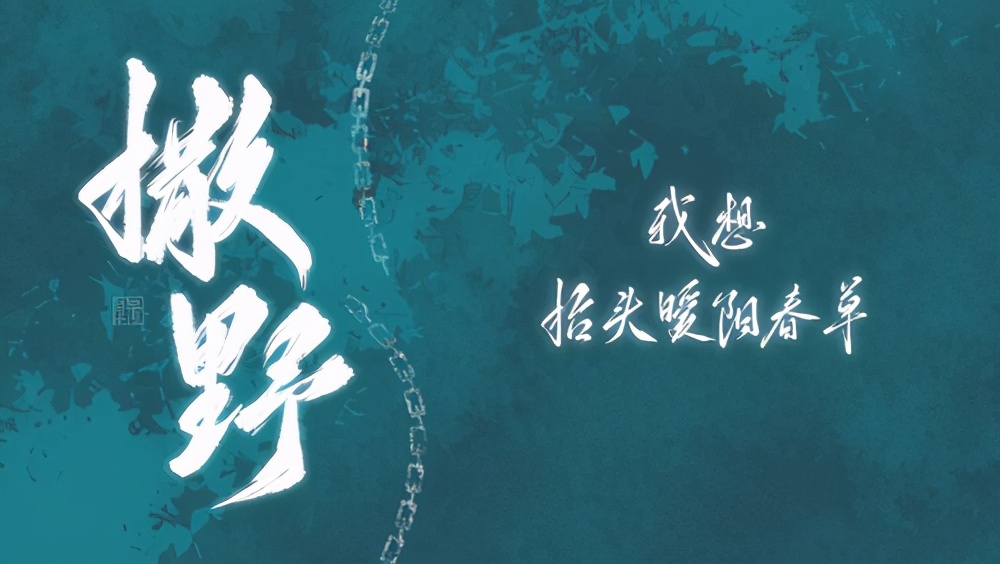 知名青春作家排行榜,当代著名青春小说家有哪些