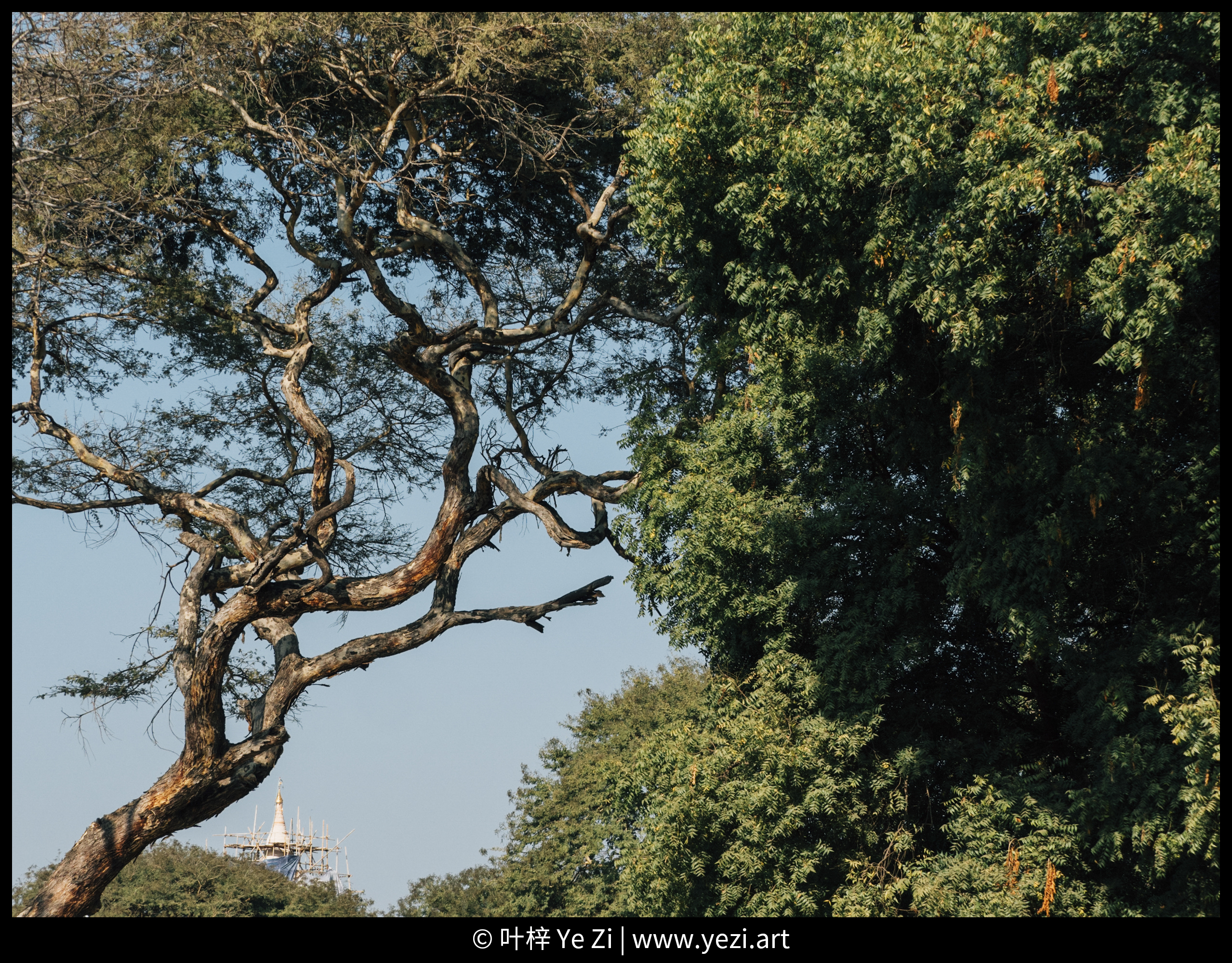 摄影照片水印教程,水印相机给照片加水印如何改时间
