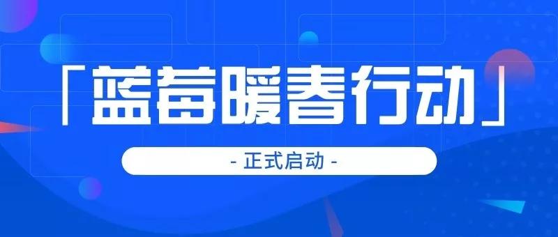 加盟蓝莓果教育赚钱吗,加盟蓝莓