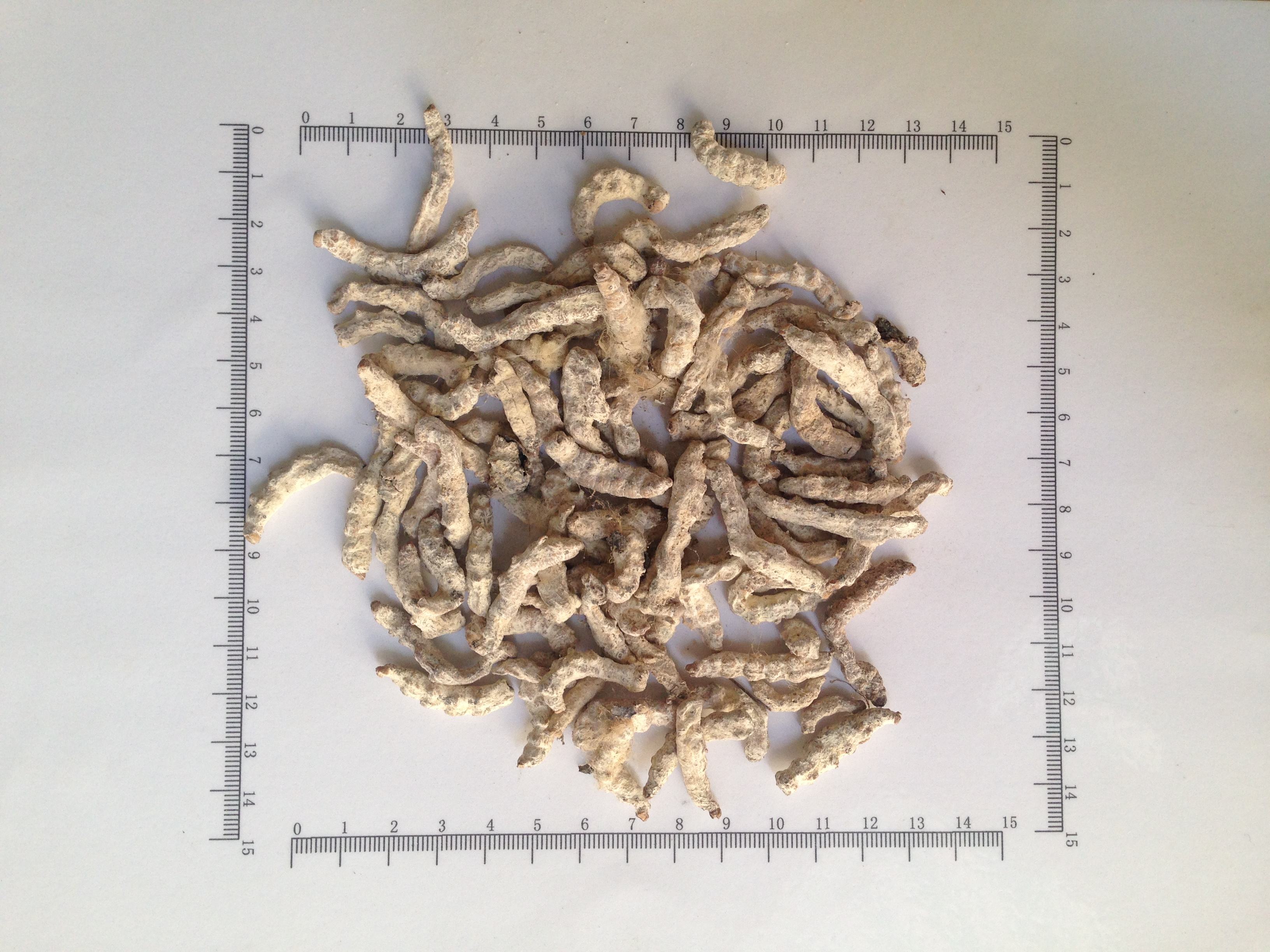 软坚散结专治癌症结节,病理检查发现结节是癌症吗