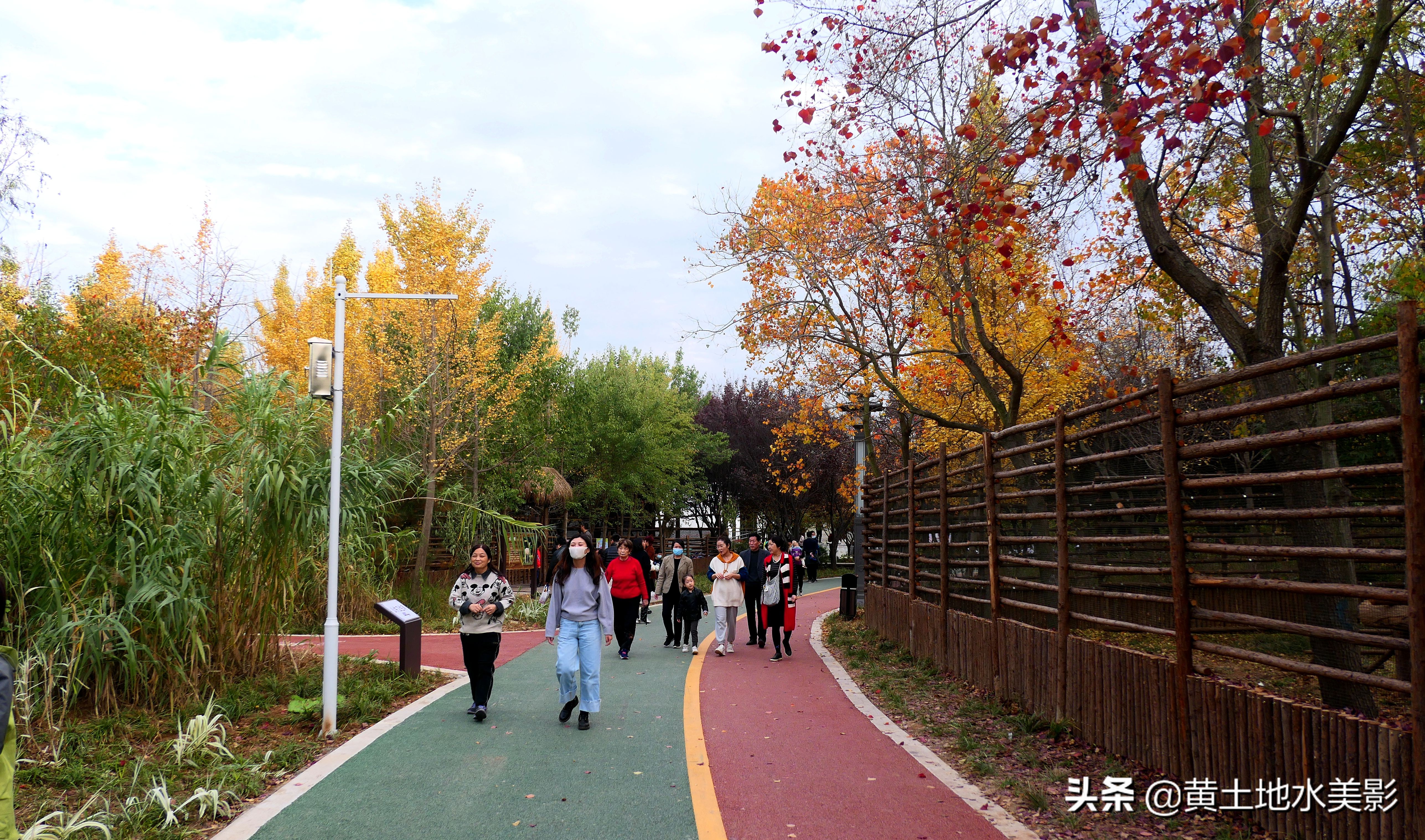 免费游玩东湖公园攻略,免费湿地公园游乐景点