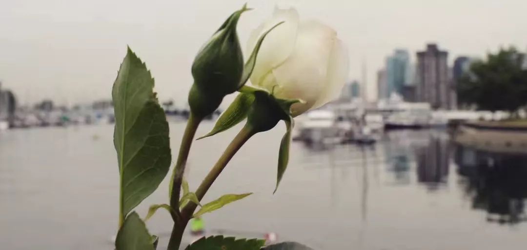 “25岁，第一场艳遇后，上瘾了”