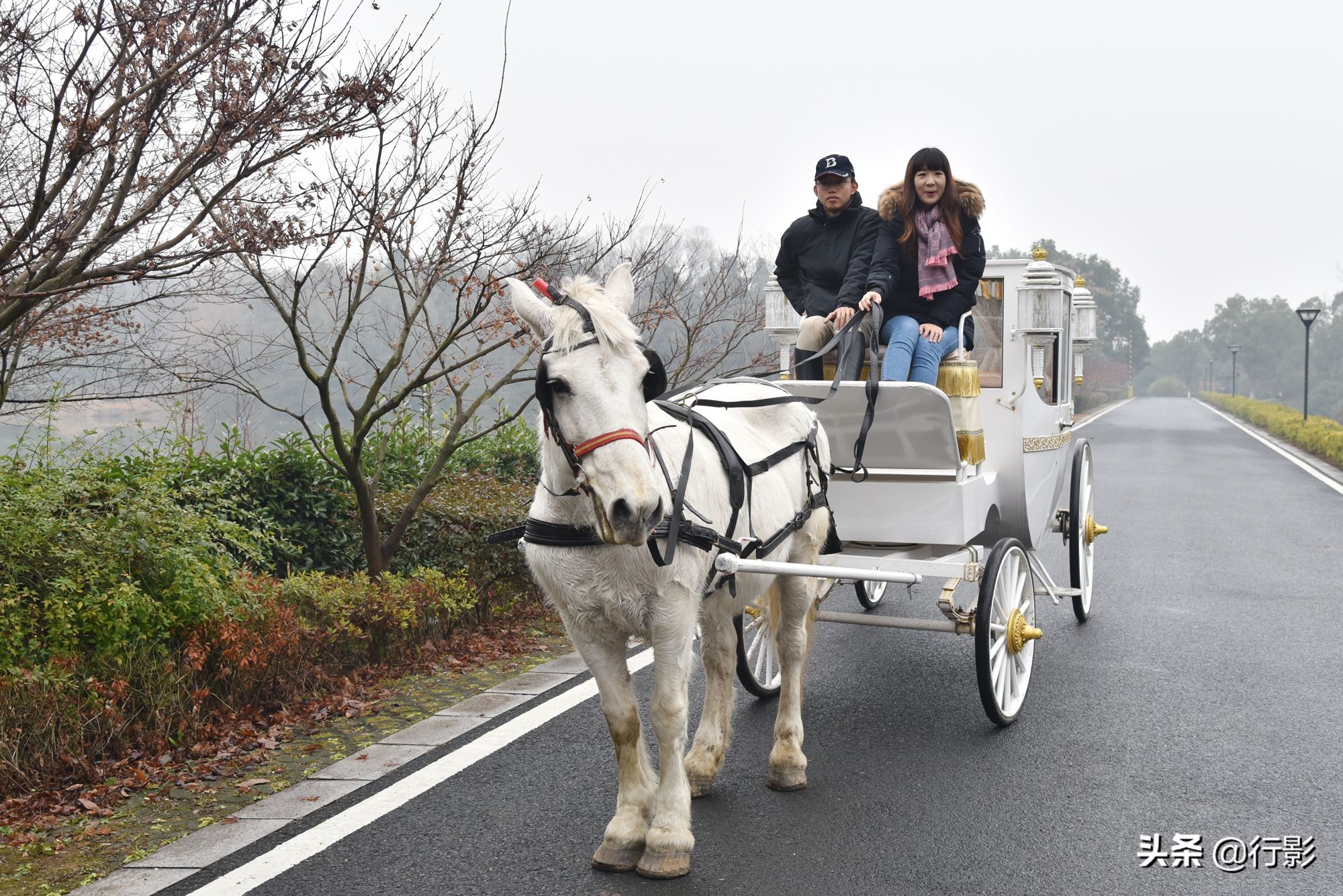 南京紫金山庄景色,紫金山庄风景