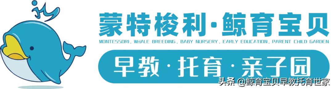 早教班带什么兴趣班好,宝宝有必要报早教班和兴趣班