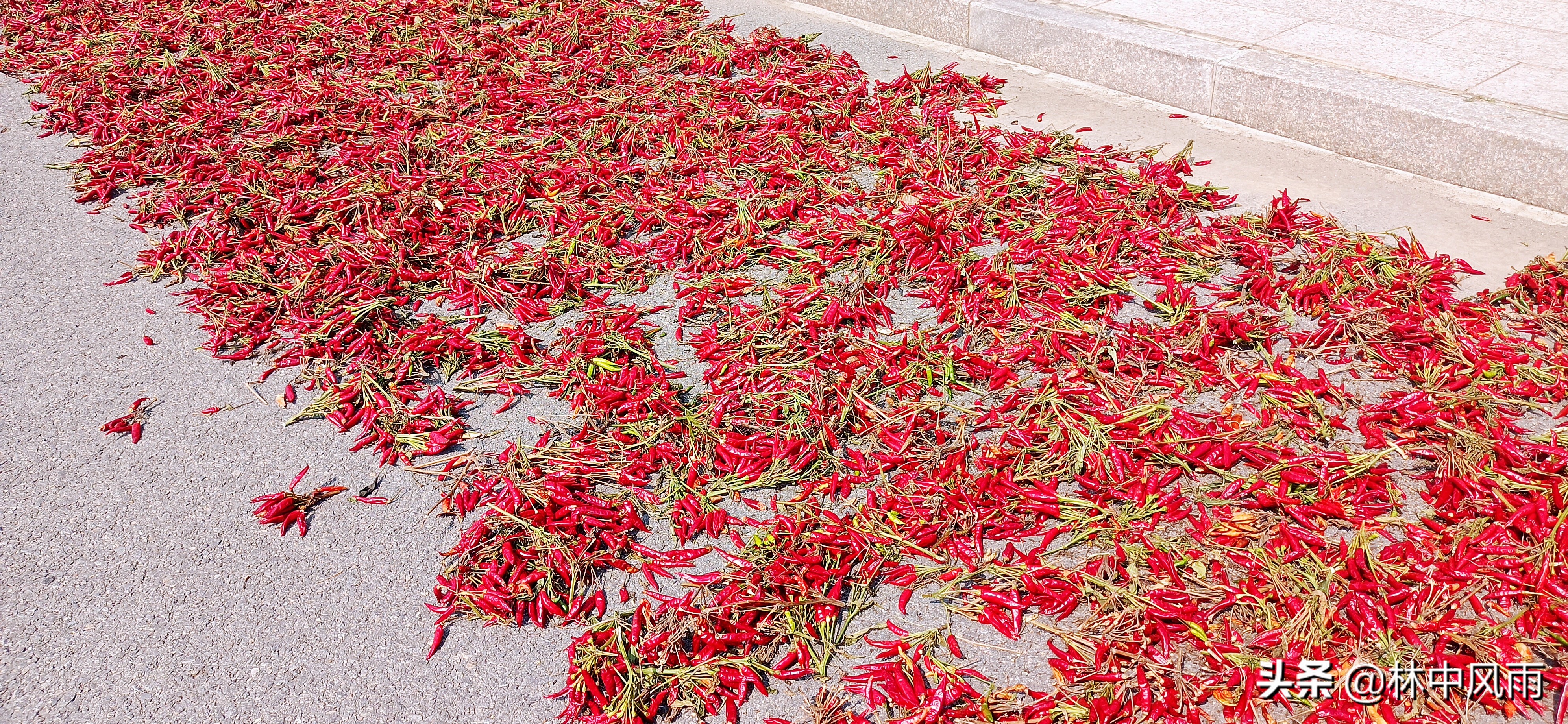 鲁西南明珠,鲁西南明珠景点